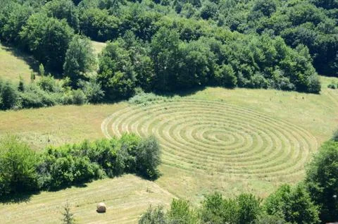 Circular pattern in a field of mown grass Stock Photos