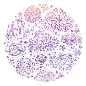 Circular pattern with many items from the ocean Illustrazione stock