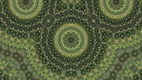 Circular pattern palm leave abstract animation background Stock Footage 167415362