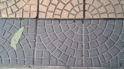 Circular pattern paving stones with a fallen green autumn leaf Stock Photos