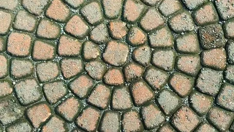 The circular patterned paving on the garden path Stock Footage 308990567