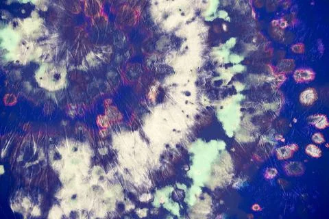 Circular Patterns. Abstract Artistic Print. Water Stock Illustration