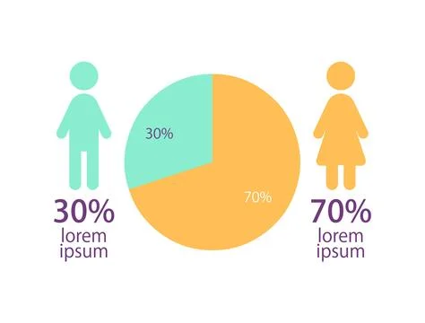 Circular pie infographic chart design template with two categories Stock Illustration