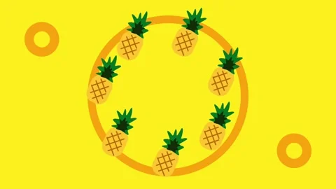 Circular Pineapple Frame Stock Footage 335630159