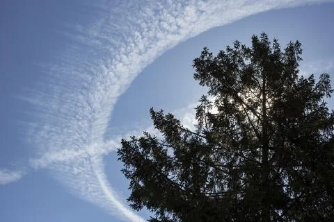 Circular plane trail like a radial cloud around a tree Foto stock