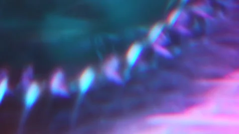 Circular Prim and Abstract Forms in Motion Optical Dance Stock Footage 304368158