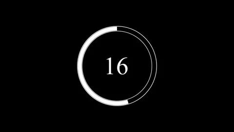 Circular progress bar with loading timer and percentage on white black back.. Stock Footage 330790951