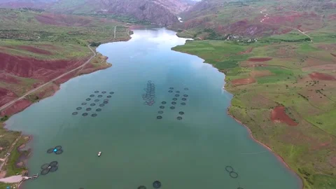 Circular salmon cages float on a lake, showing commercial aquaculture - Protein Stock Footage 339575935
