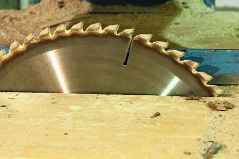 Circular saw blade. Stock Photos