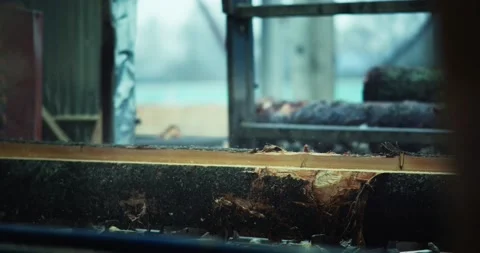 A circular saw cuts a log into planks. Wood processing, raw board production Stock Footage 185677509