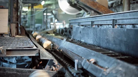 A circular saw cuts tree trunks into separate parts Stock Footage 92199935