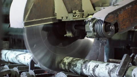 A circular saw cuts tree trunks into separate parts Stock Footage 92199979
