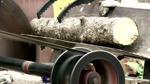 Circular saw Stock Footage 8577254