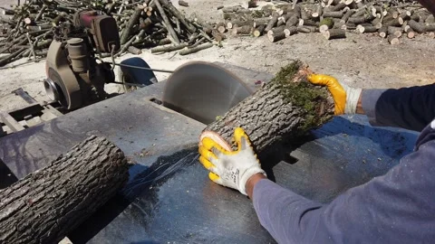 Circular saw. man worker is sawing round logs, trunks of felled trees into bars Stock Footage 142395439