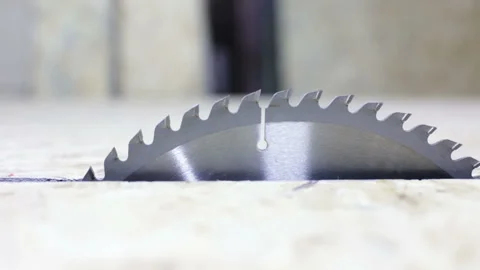 Circular saw for sawing a tree Stock Footage 89569170