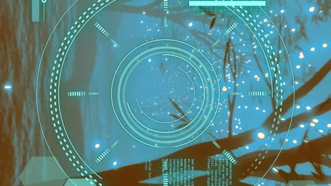 Circular scanner and data processing over lights and tree lined path at night Stock Footage 312521311