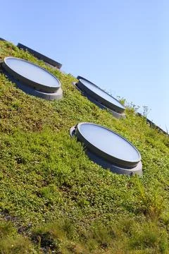 Circular shaped skylights on a undulating grass surface, in the background .. Stock Photos
