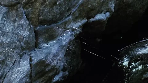 Circular spider web in the breeze Stock Footage 169129521