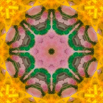 Circular star shape made from colorful feathers Stock Photos