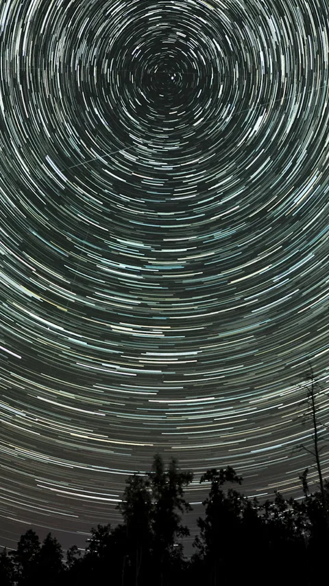 Circular star trails over forest Stock Footage 307386724