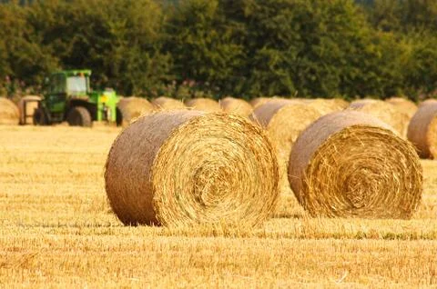 Circular straw bales Stock Photos