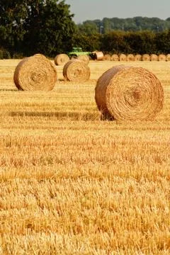 Circular straw bales Stock Photos