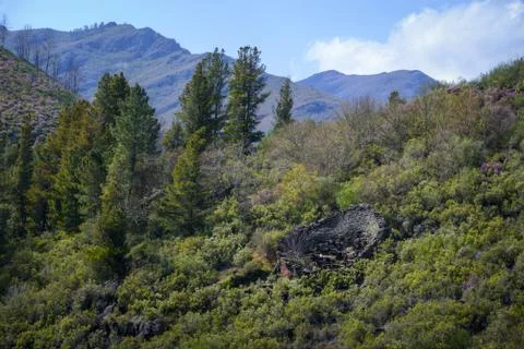 Circular structures of stone walls to protect hives from bear attacks Foto stock