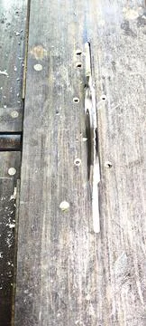 Circular table saw blade protruding through woodworking table close up Stock Photos