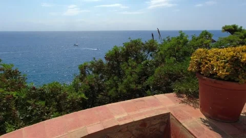 Circular terrace among trees and sea view at Jardín Botánico Marimurtra Stock Footage 250354498