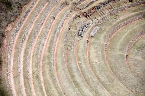 Circular terraces at Moray Stock Photos