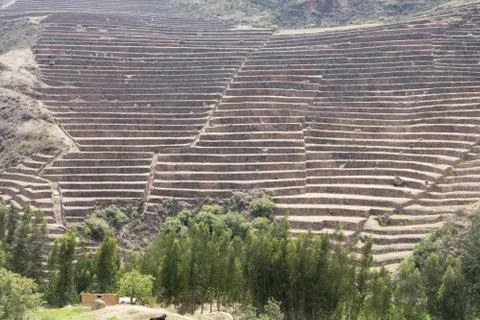 Circular terraces at Moray Foto stock