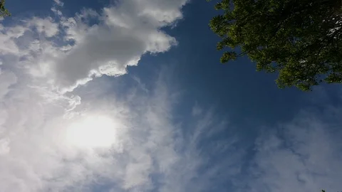 A circular time-lapse of the sun, sky and trees Stock Footage 108117010