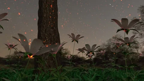 Circular tracking shot of flowers emitting sparks or pollen at dusk or dawn 動画素材 274660355