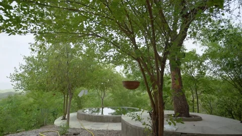 Circular Tree Platform in Garden Setting, Piplantri Village, Rajasthan Stock Footage 313238762
