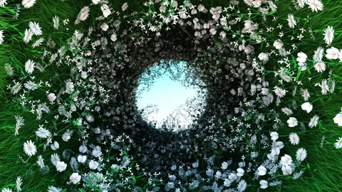 Circular View of Sky Framed by Lush Green Grass and Abundant White Flowers Creat Vídeos de archivo 301899801