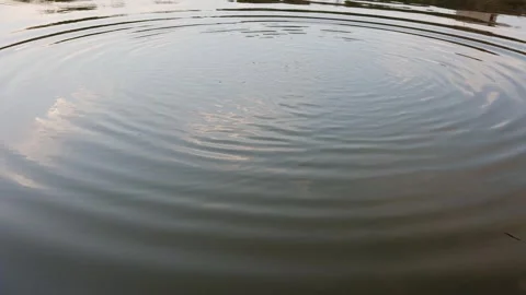 Circular water ripple pattern after stone drop on calm lake surface with na.. Stock Footage 334765282