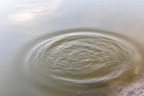 Circular water ripple pattern after stone drop on calm lake surface with na.. Stock Photos