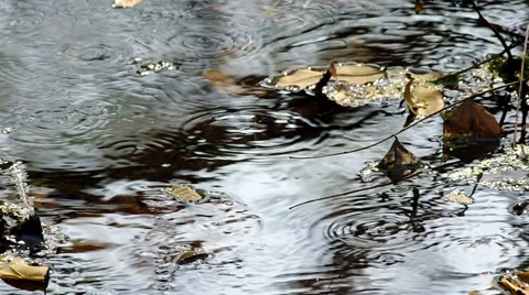 Circular wave on the surface Stock Footage 48346656