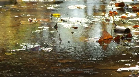 The circular wave on the surface water Stock Footage 48346674