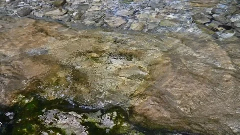 Circular waves on a mountain stream Video stock 260861453
