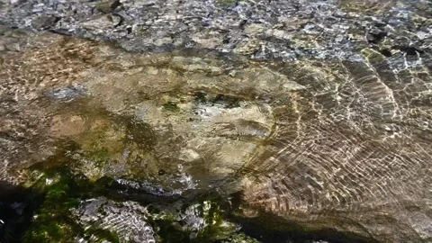 Circular waves on a mountain stream 스톡 동영상 260861489