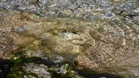Circular waves on a mountain stream 스톡 동영상 260861523