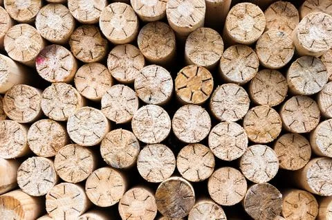 Circular wood texture pattern Stock Photos