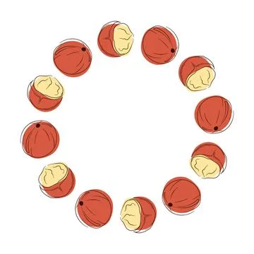 Circular wreath with macadamia and kernel on a white background in a flat style. Stock Illustration