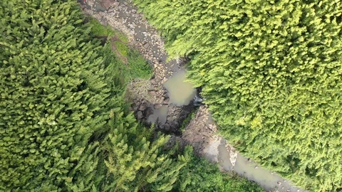 Circulating Landscape in Hawaii Video stock 105374453