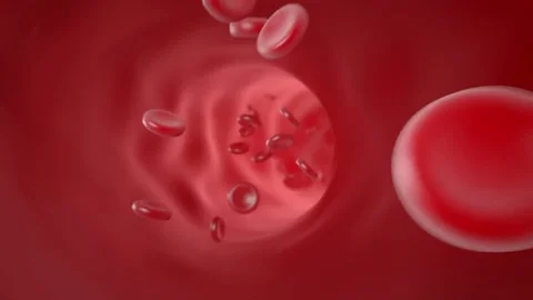 Circulation of blood in the arteries Stock-Footage 71459280