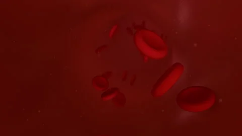 Oxygen Human Body Animation Stock Video Footage | Royalty Free Oxygen ...