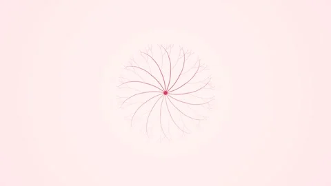 Circulatory-bloom-radial-vessel-loop-4k Vídeo Stock 344096722