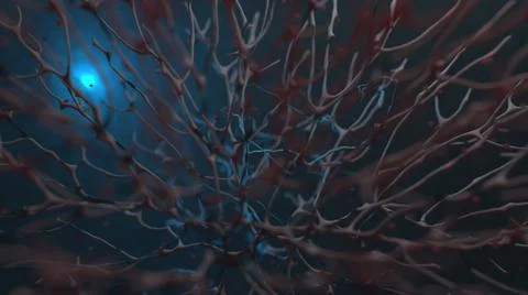 Circulatory system macro image of organic tissue Stock Illustration