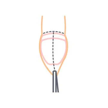 Circumcision line icon, vector illustration Stock Illustration